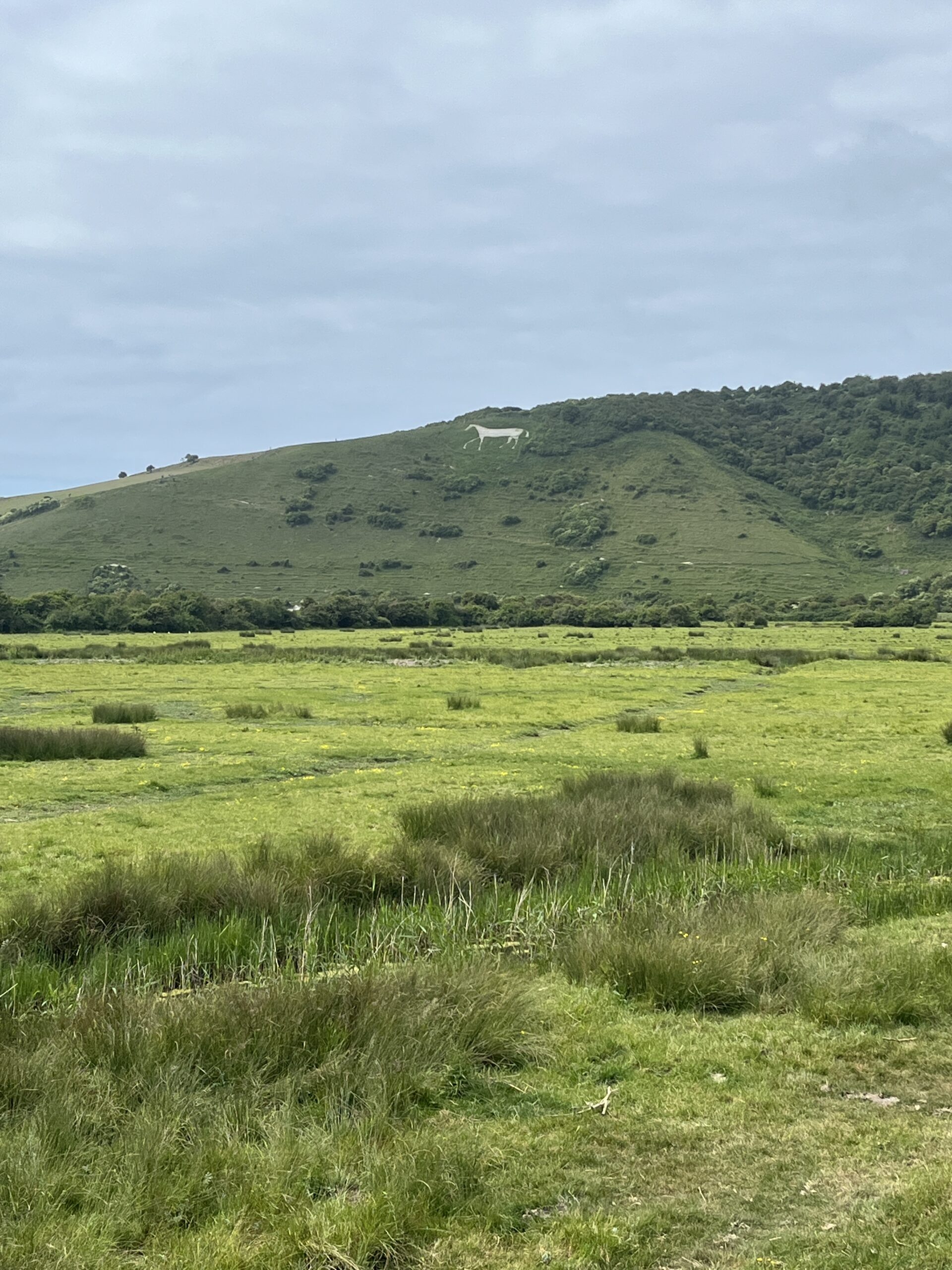 The beautiful South Downs